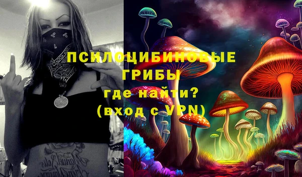 меф Алексин