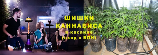 прущие грибы Нея