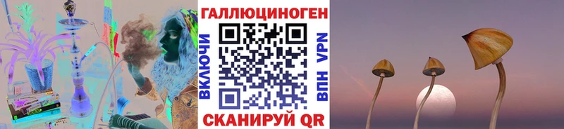 Псилоцибиновые грибы Psilocybe  мега ONION  Черепаново 